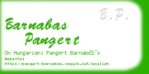 barnabas pangert business card